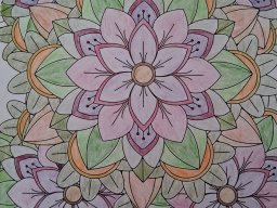 whatsapp image 2026-01-15 at 12.18.17